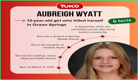 Unveiling The Mystery: Who Found Aubreigh Wyatt?